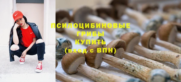 круглые Алексин