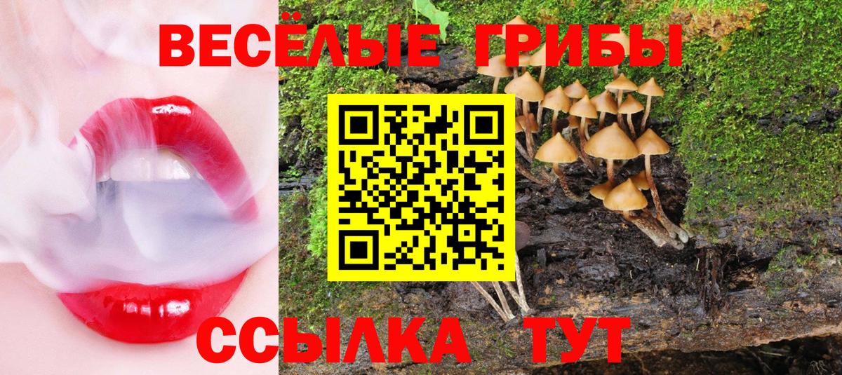 Галлюциногенные грибы MAGIC MUSHROOMS  Вход с VPN  Краснознаменск 