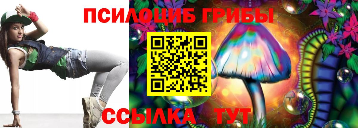 Псилоцибиновые грибы GOLDEN TEACHER Краснознаменск